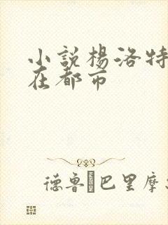 小说杨洛特种兵在都市封面