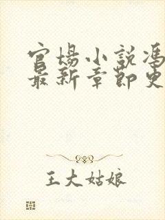 官场小说冯天明最新章节更新封面