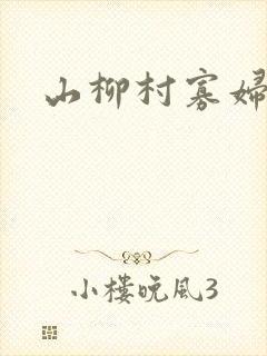 山柳村寡妇情史