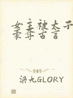 女主被太子强取豪夺古言封面