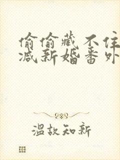 偷偷藏不住未删减新婚番外