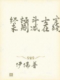 终极斗士完整版未删减在线免费观看