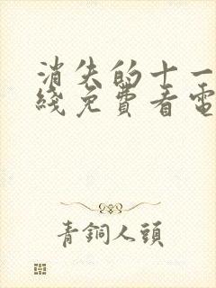 消失的十一层在线免费看电视剧封面