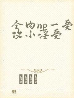 全肉np一受多攻小淫受封面