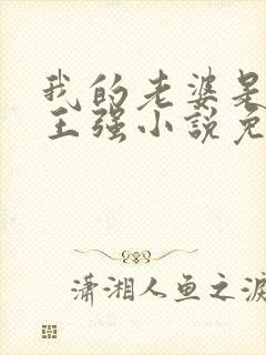 我的老婆是人妖王强小说免费阅读