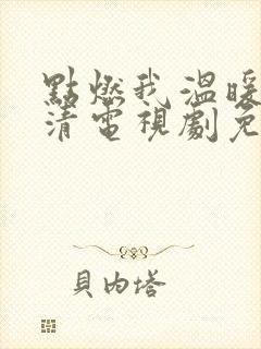 点燃我温暖你高清电视剧免费观看