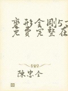 变形金刚5高清免费完整在线观看