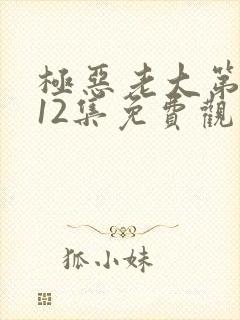 极恶老大第二季12集免费观看