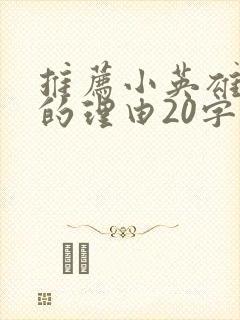 推荐小英雄雨来的理由20字