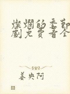 灿烂的季节电视剧免费看全集