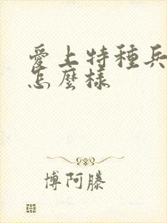 爱上特种兵结局怎么样