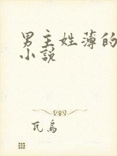 男主姓薄的全部小说