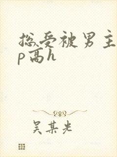 总受被男主们np高h封面