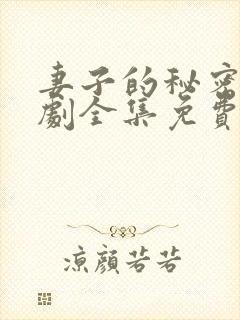 妻子的秘密电视剧全集免费播放