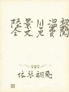 陆景川温黎小说全文免费阅读封面