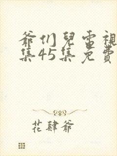 爷们儿电视剧全集45集免费在线观看封面