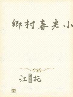 乡村春光小说