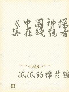 《中国神探》全集在线观看高清封面