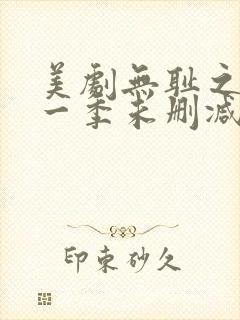 美剧无耻之徒第一季未删减