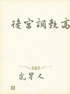 后宫调教高h文