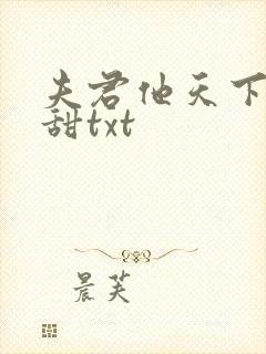 夫君他天下第一甜txt