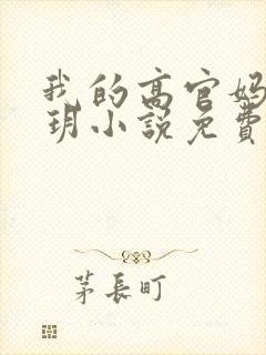 我的高官妈妈苏玥小说免费阅读最新