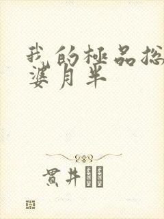 我的极品总裁老婆月半