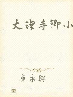 大理寺卿小说封面