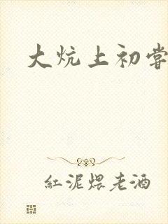 大炕上初尝云雨