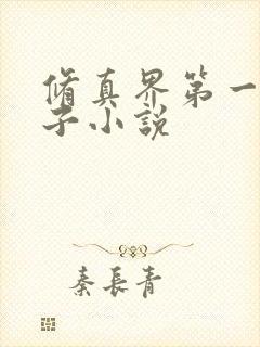 修真界第一病秧子小说