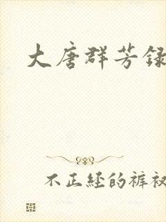大唐群芳录封面