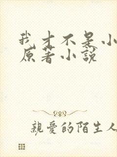 我才不是小可怜原著小说