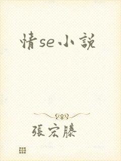 情se小说封面