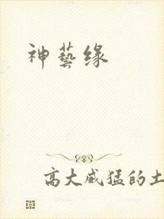 神艺缘