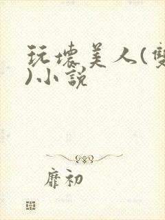 玩坏美人(双性)小说封面