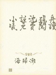 小说沈砚舟宁若曦免费阅读