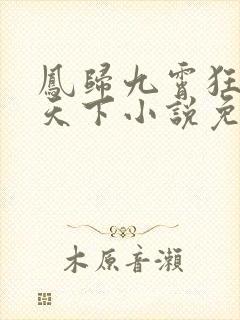 凤归九霄狂妃逆天下小说免费阅读