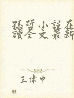 孙哲小说在线阅读全文最新封面