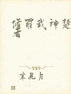 修罗武神楚枫作者