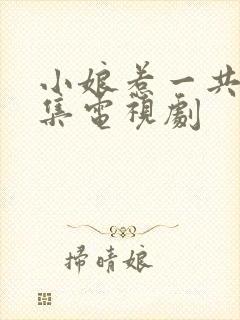 小娘惹一共多少集电视剧