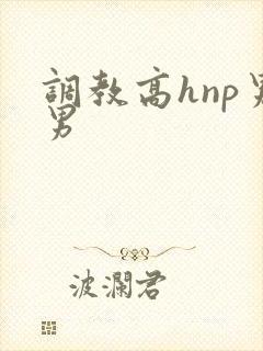 调教高hnp男男封面