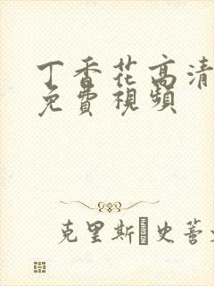 丁香花高清在线免费视频封面