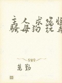 主人 求您收留骚母狗 玩弄调教