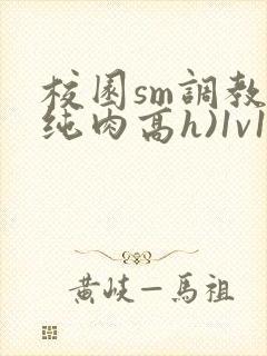 校园sm调教(纯肉高h)1v1