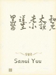 黑道老大和美人医生小说免费阅读无弹窗