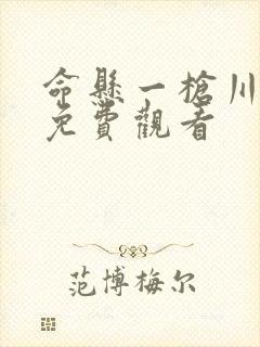 命悬一枪川话版免费观看封面