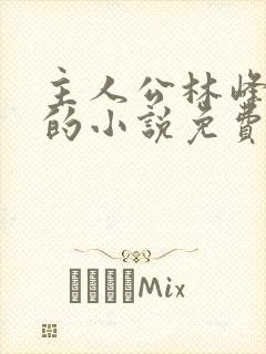 主人公林峰宁欣的小说免费阅读全文封面