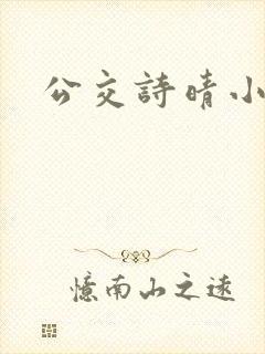 公交诗晴小说