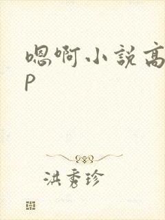 嗯啊小说高hnp
