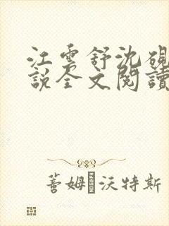 江云舒沈砚舟小说全文阅读